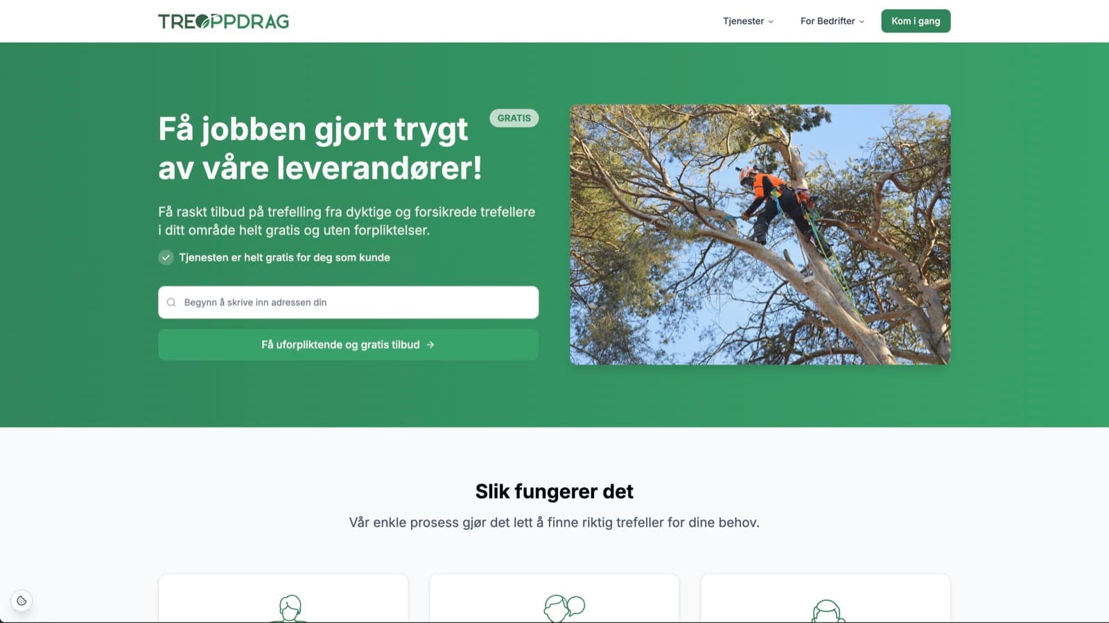 Skjermbilde av Treoppdrag